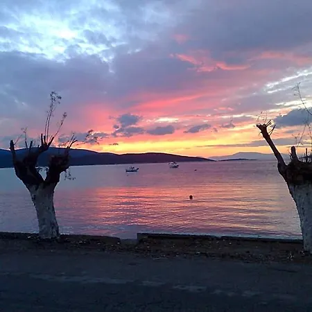 Gikas Triple Sea View B7 3* Marmari (Evia)