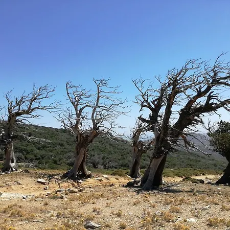Gikas Triple Sea View B7 Appart hôtel Marmari (Evia)