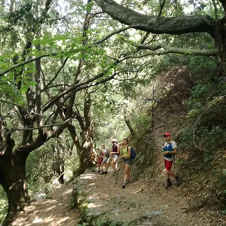 Gikas Triple Sea View B7 Appart hôtel