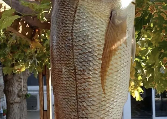 Gikas Triple Sea View B7 Ξενοδοχείο με διαμερίσματα 3*